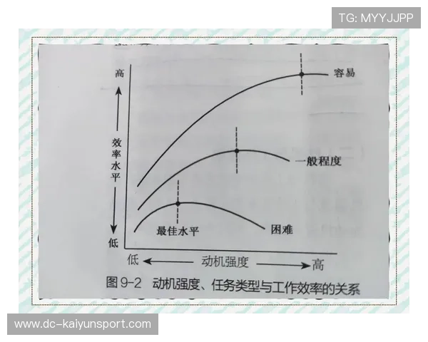 执行效率与结果关系分析