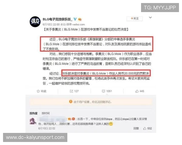 职业联赛的规则执行差异分析